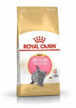 Royal Canin British Shorthair Kitten Роял Канин Сухой корм для британских короткошерстных котят, 0,4 кг