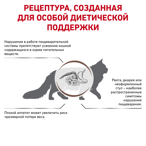 3_RC-VET-DRY-CatGastro-BrandFlagship_rus3