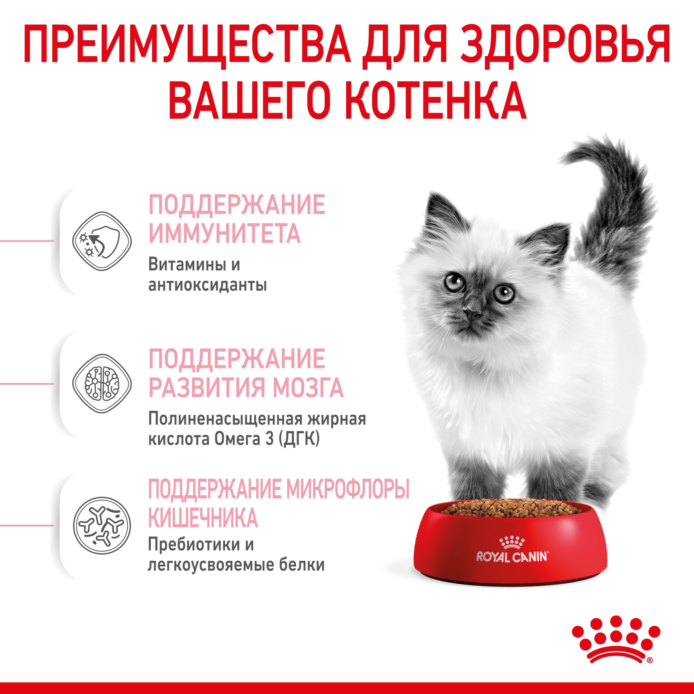 RC-SPT-DRY-Kitten-CV-3-ru_RU