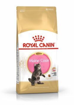 *Royal Canin Maine Coon Kitten Роял Канин Сухой корм для котят породы Мэйн Кун, 10 кг