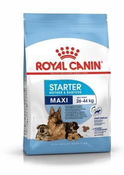 Royal Canin Maxi Starter Роял Канин Сухой корм для щенков крупных размеров до 2-х месяцев, беременных и кормящих сук, 15 кг