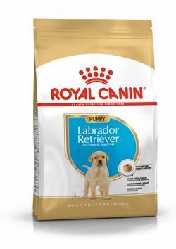 Royal Canin Labrador Retriever Puppy Роял Канин Сухой корм для щенков породы Лабрадор Ретривер от 15 месяцев, 12 кг