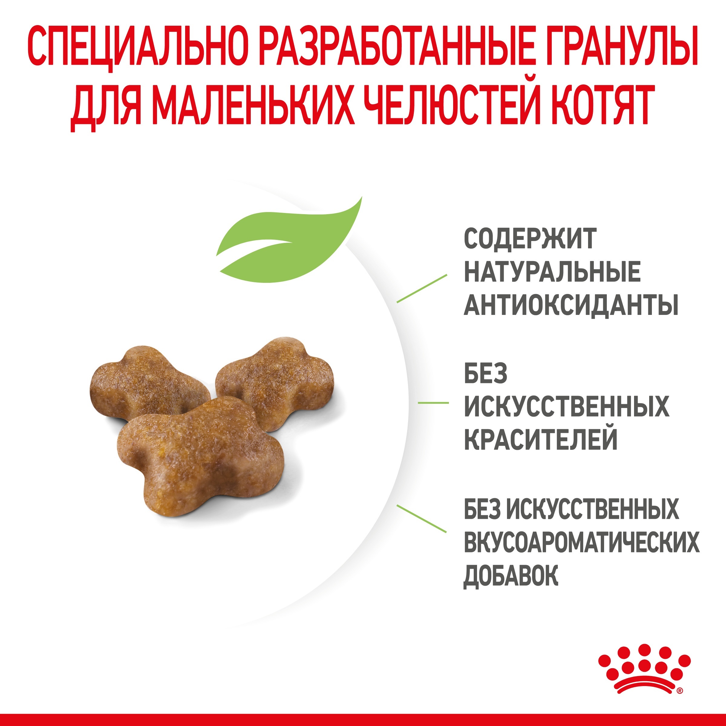 RC-SPT-DRY-Kitten-CV-4-ru_RU