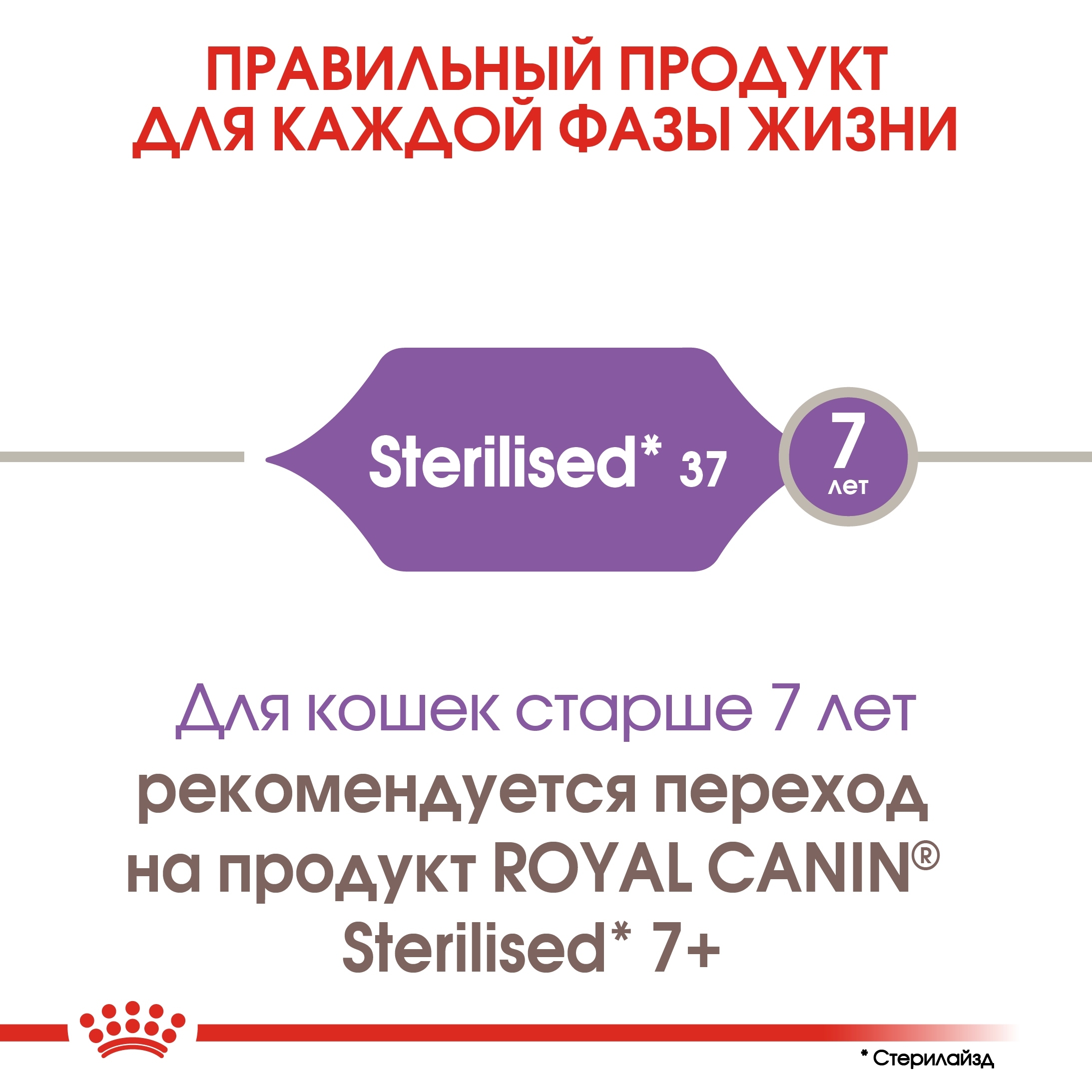 5_RC-FHN-Sterilised37-CV-Eretailkit-1﻿_ph