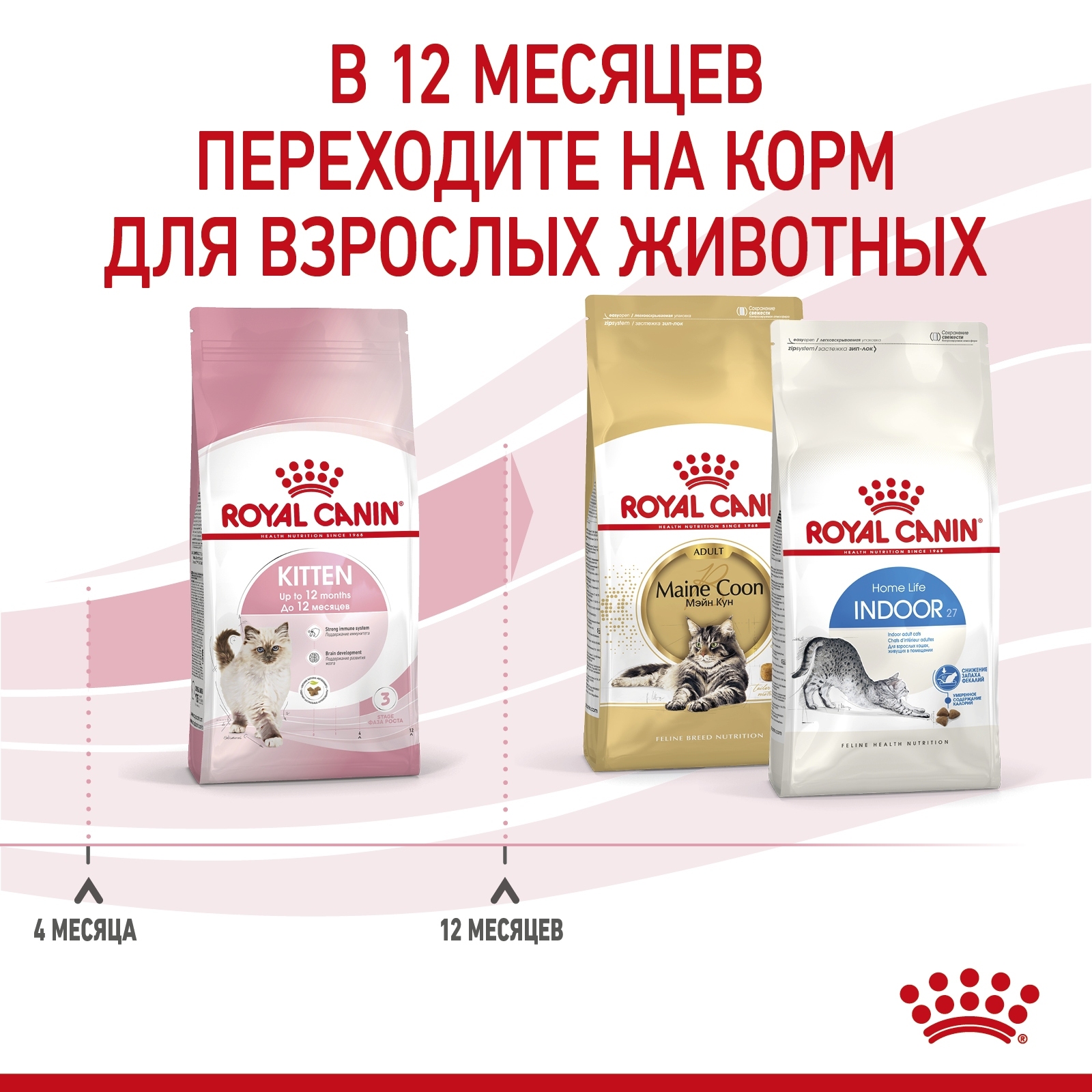 RC-SPT-DRY-Kitten-CV-5_rus