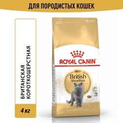 Royal Canin British Shorthair Adult Роял Канин Сухой корм для взрослых британских короткошерстных кошек, 4 кг